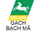 logo-bach-ma
